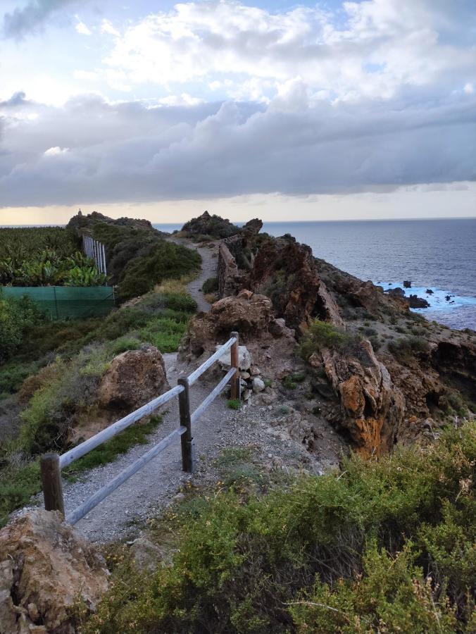 La Casita Del Sendero Διαμέρισμα La Guancha Εξωτερικό φωτογραφία