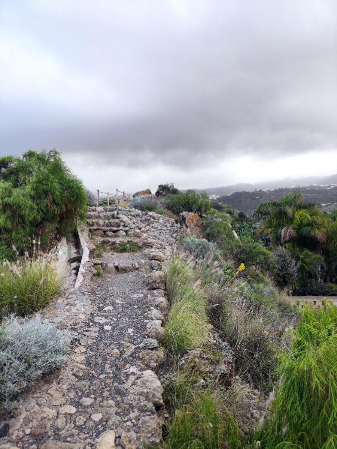 La Casita Del Sendero Διαμέρισμα La Guancha Εξωτερικό φωτογραφία